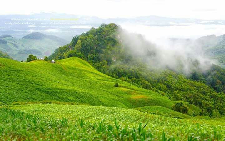 A serene landscape of rolling hills and forests near the village of Kongthong