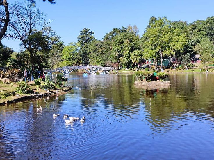 Thadlaskein Lake in Jaintia Hills with lush greenery