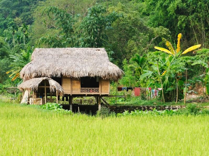 A view of a traditional homestay or stilt house in a Meghalaya village