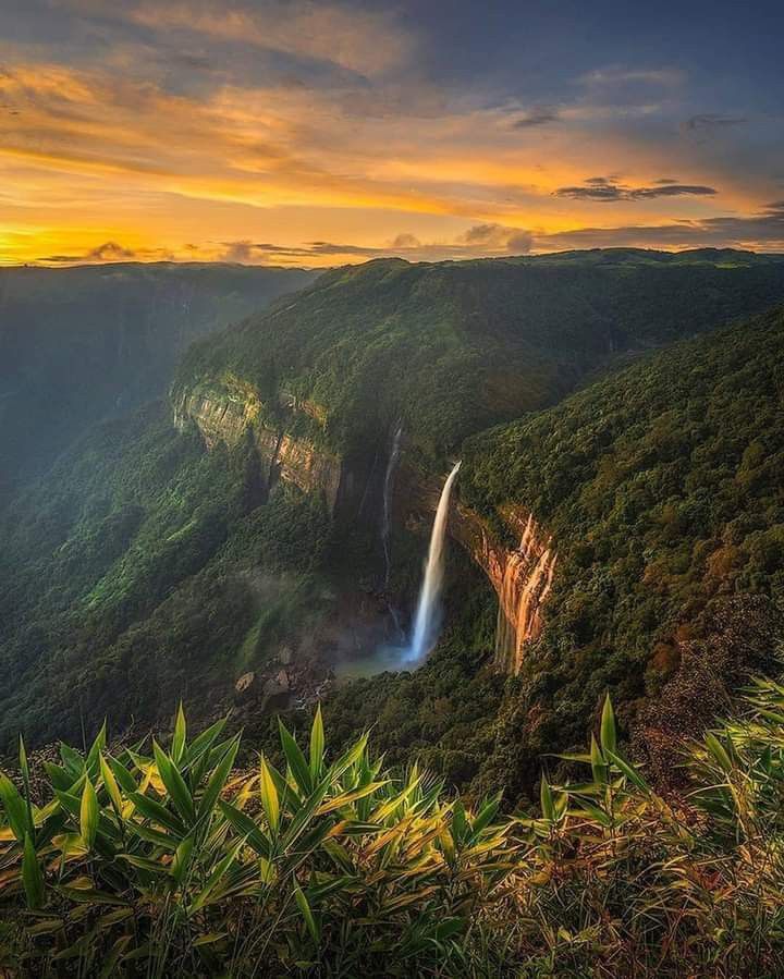 A view of Nohkalikai Falls, India's tallest plunge waterfall