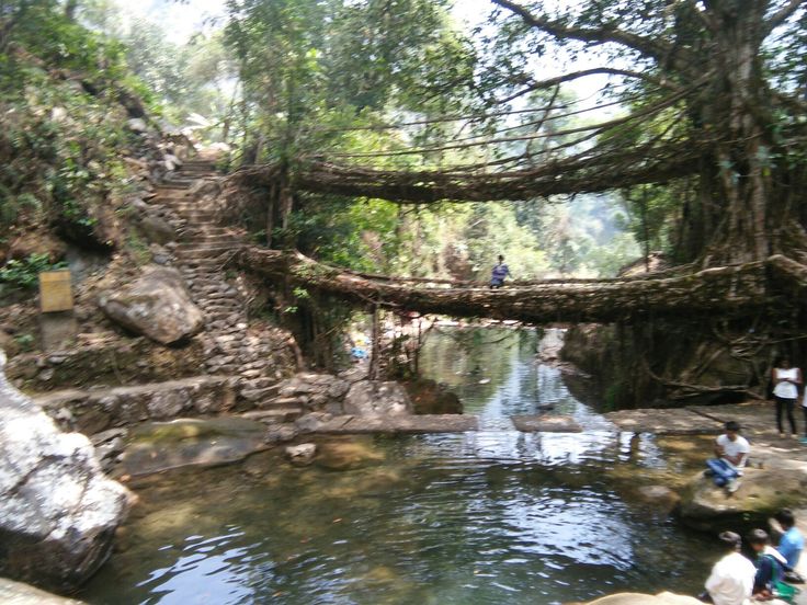 The stunning Double-Decker Living Root Bridge in Nongriat