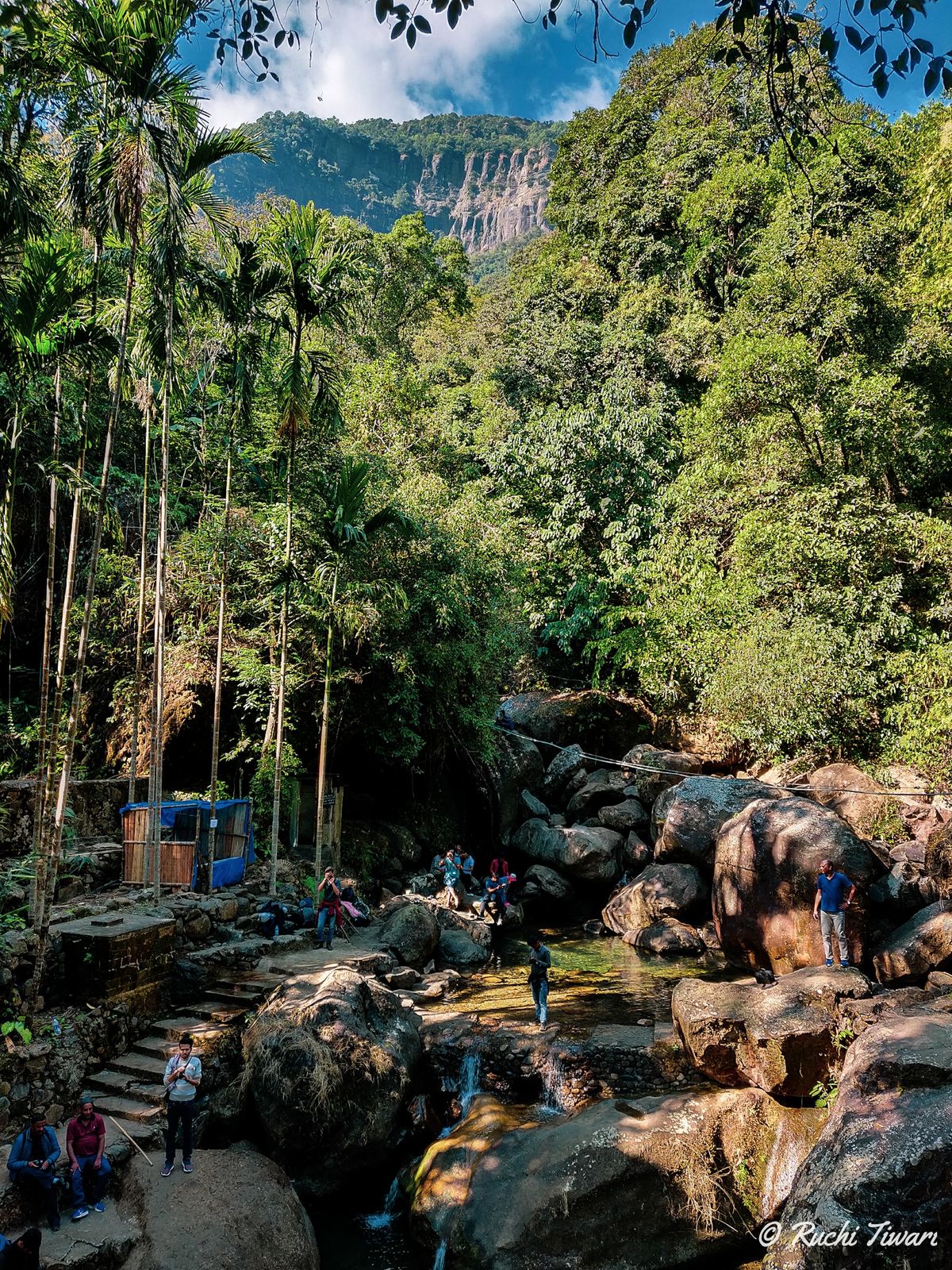 Trekking through a dense forest in Meghalaya