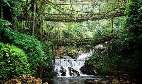 The Double Decker Living Root Bridge in Nongriat, Meghalaya
