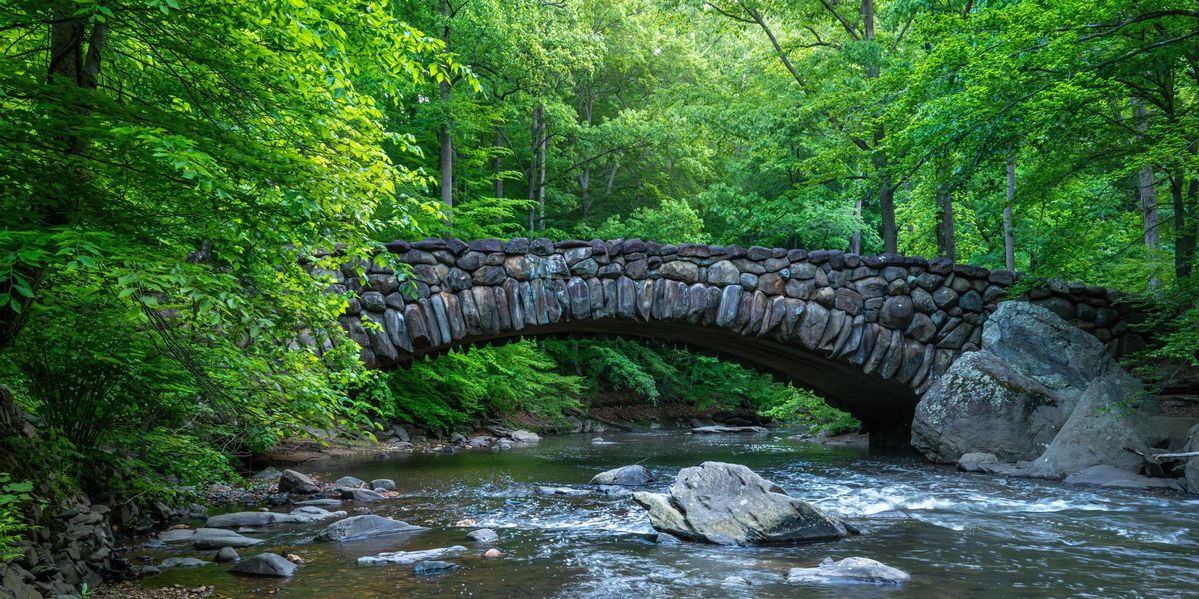 A view of the historic David Scott Trail with a stone bridge and lush greenery