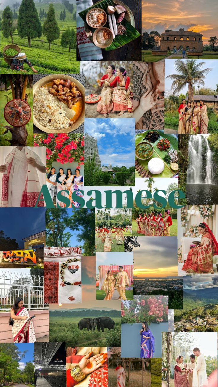 🪷🕊️🪬🍂🌜#assam #aesthetic #indie #indian #india…